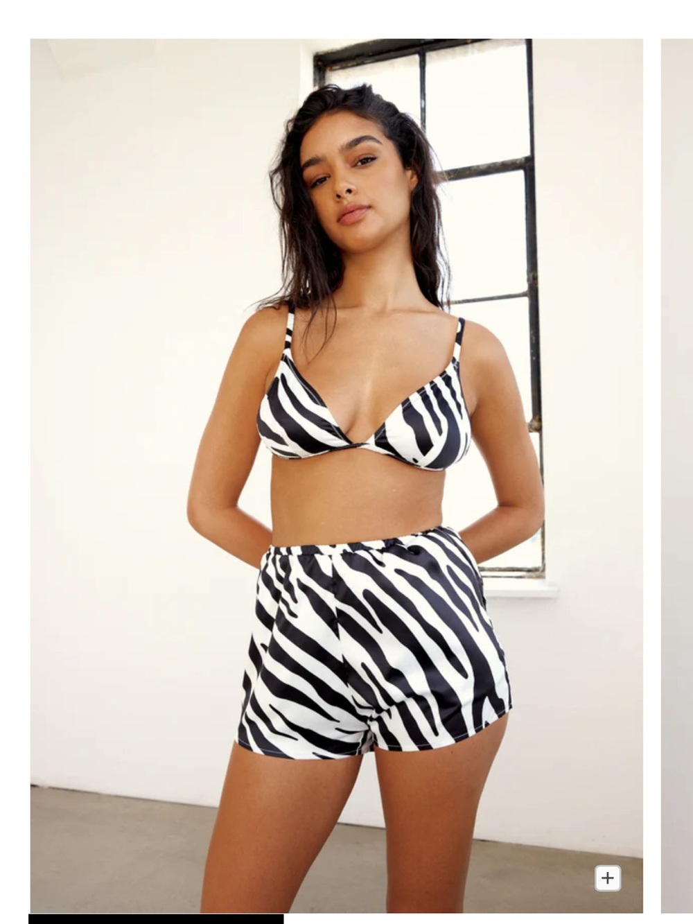 Zebra lingerie set